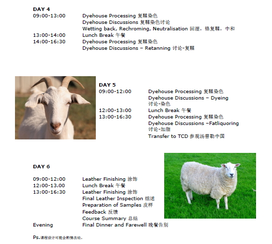 丝瓜视频